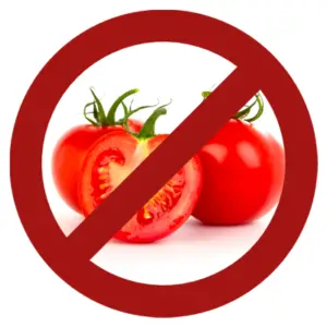No alimentes a tu perro con tomate sin madurar